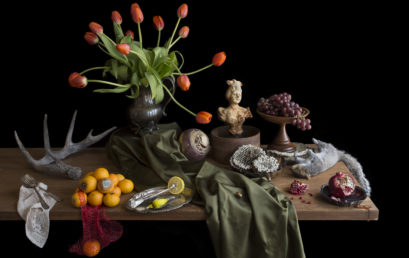 Creative Still Life with Kimberly Witham (Online Learning – Four Sessions)