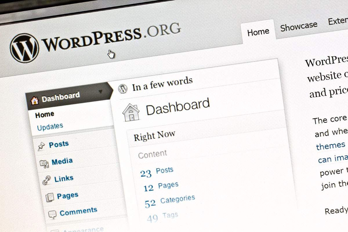 Building a WordPress Website for Artists with John D. Russell (Online Learning – One Session) Building a WordPress Website for Artists with John D. Russell (Online Learning – One Session)