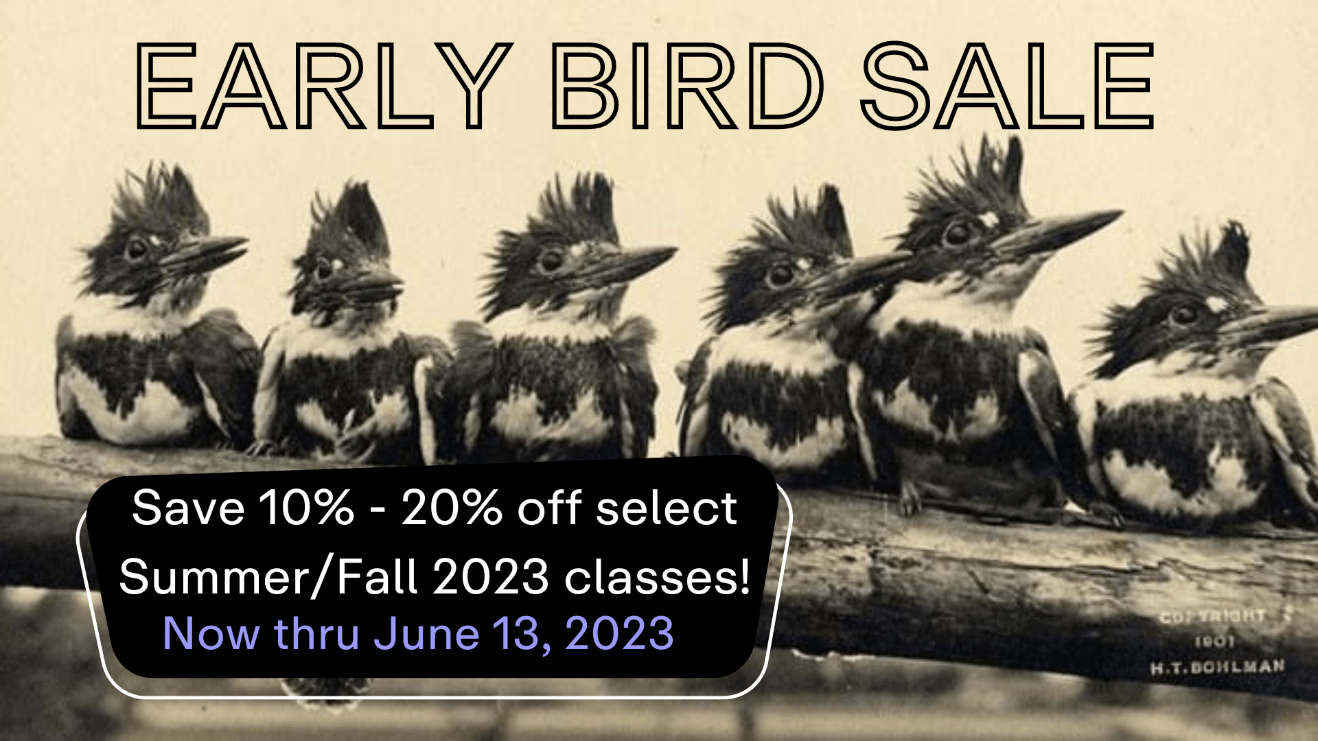 Featured image for slide EARLY BIRD SALE!