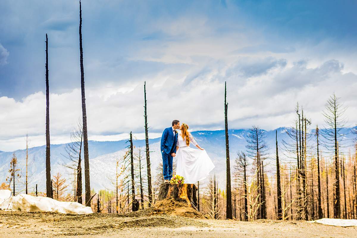 Featured image for event The Business of Wedding Photography with Laura Grier (Webinar -90 min)