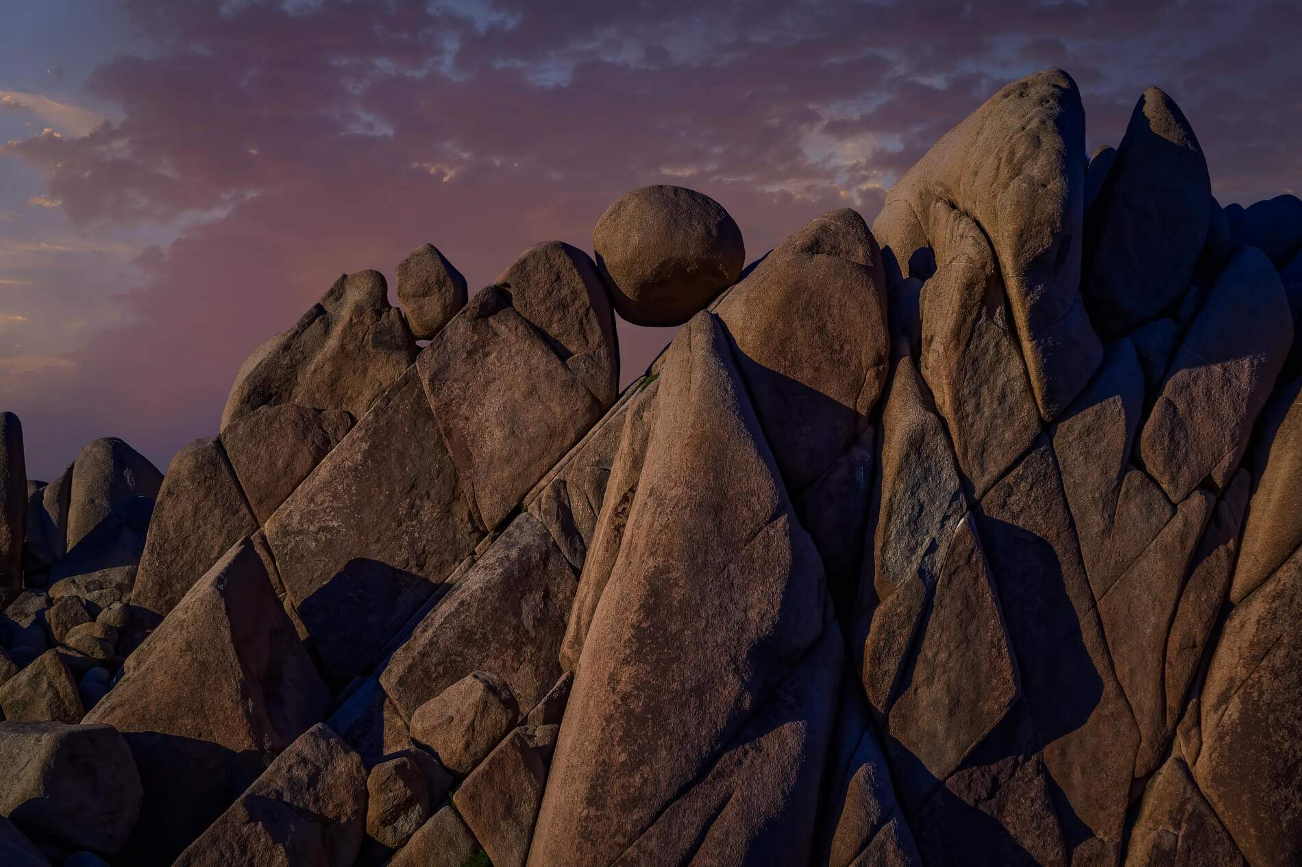 Featured image for event Joshua Tree National Park with John Bosma (Travel Workshop)