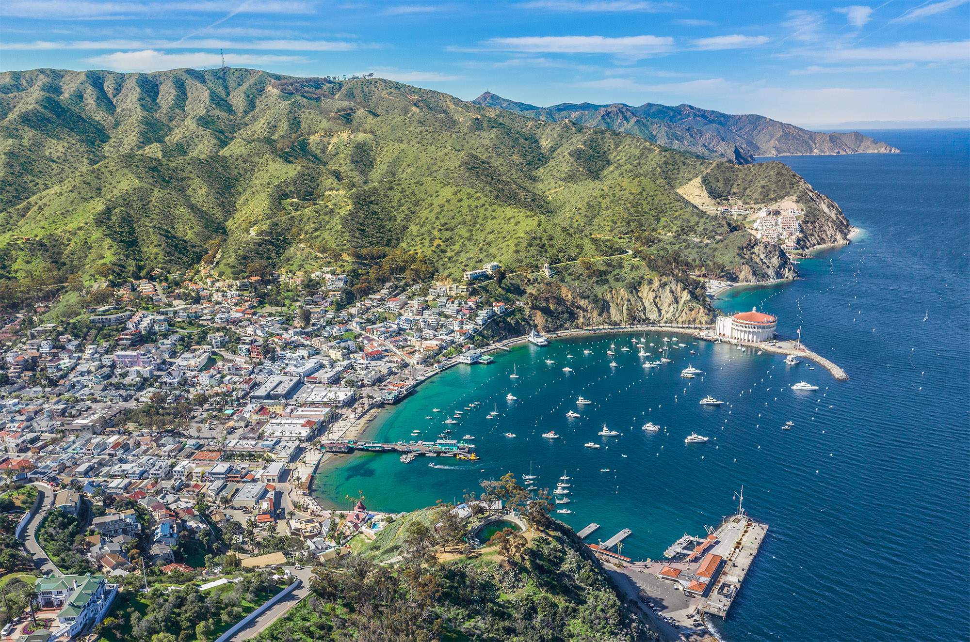 Featured image for event Meet-Up in LA - Catalina Island with Peter Bennett (Hybrid Learning  - Two Sessions)