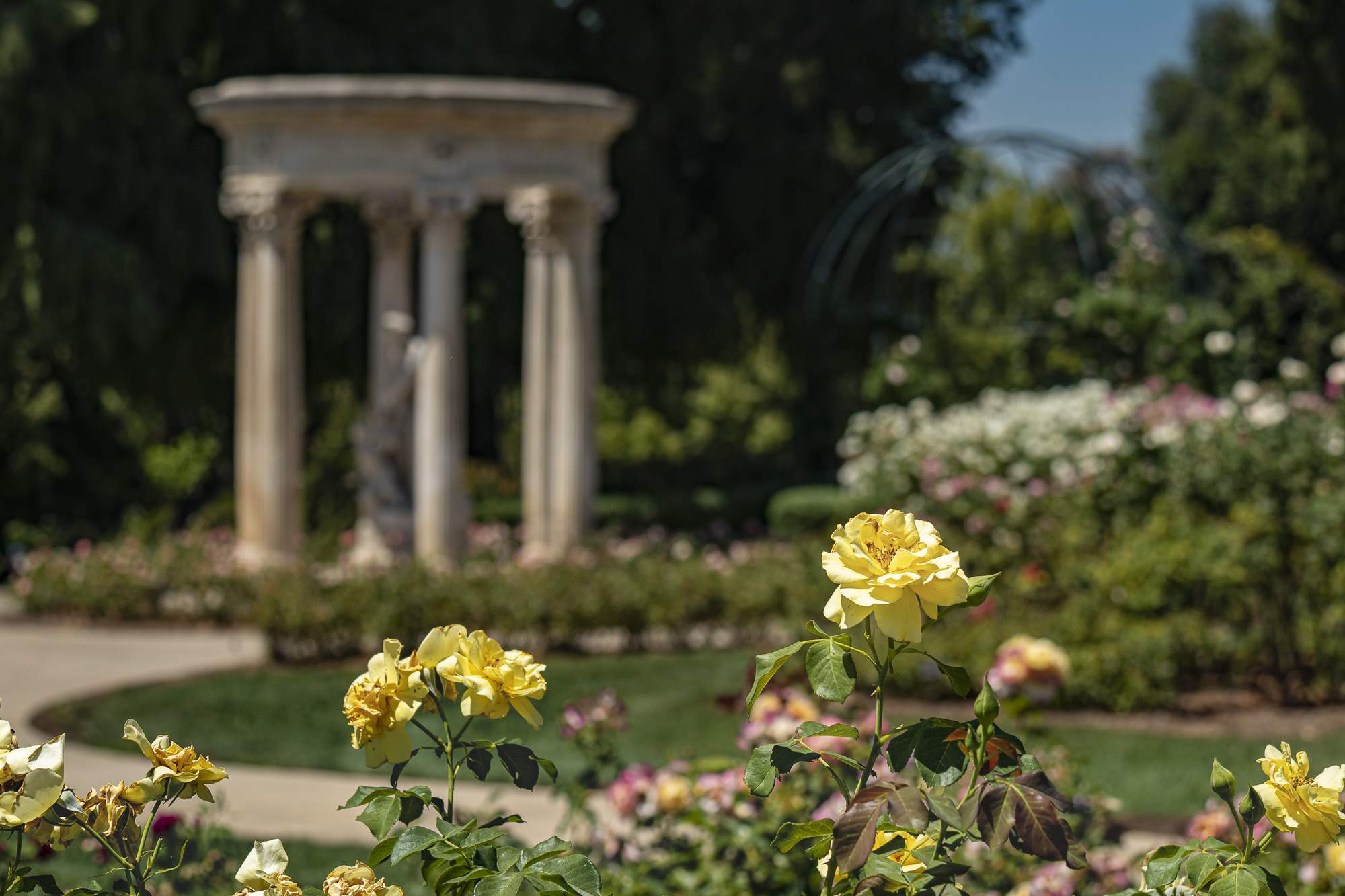 Featured image for post Meet-Up in LA: Photographing The Huntington Botanical Gardens with Peter Bennett