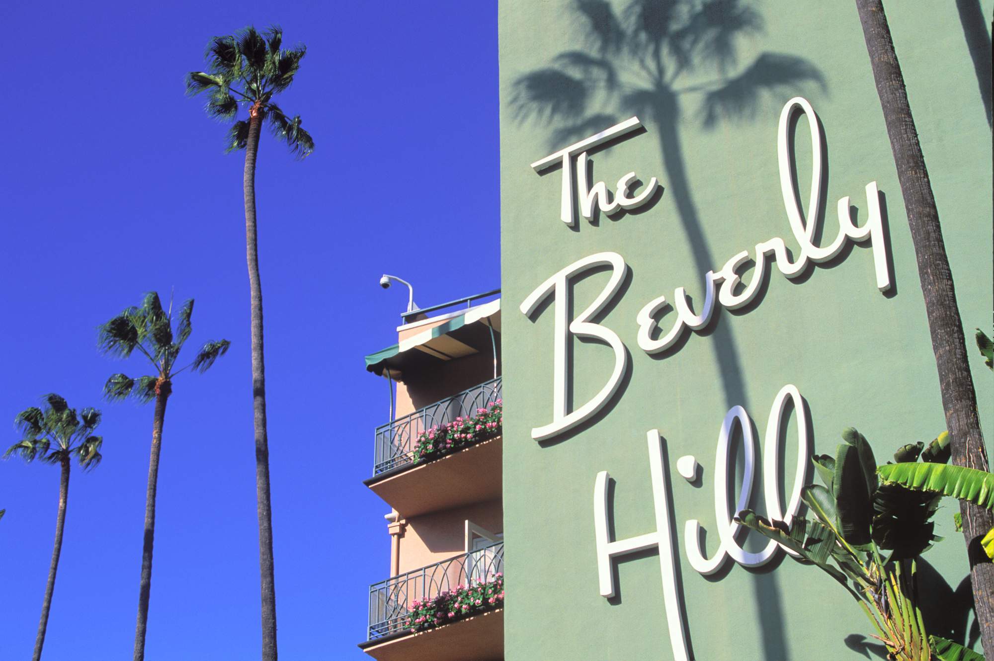 Featured image for post Meet-Up in LA: Beverly Hills with Peter Bennett