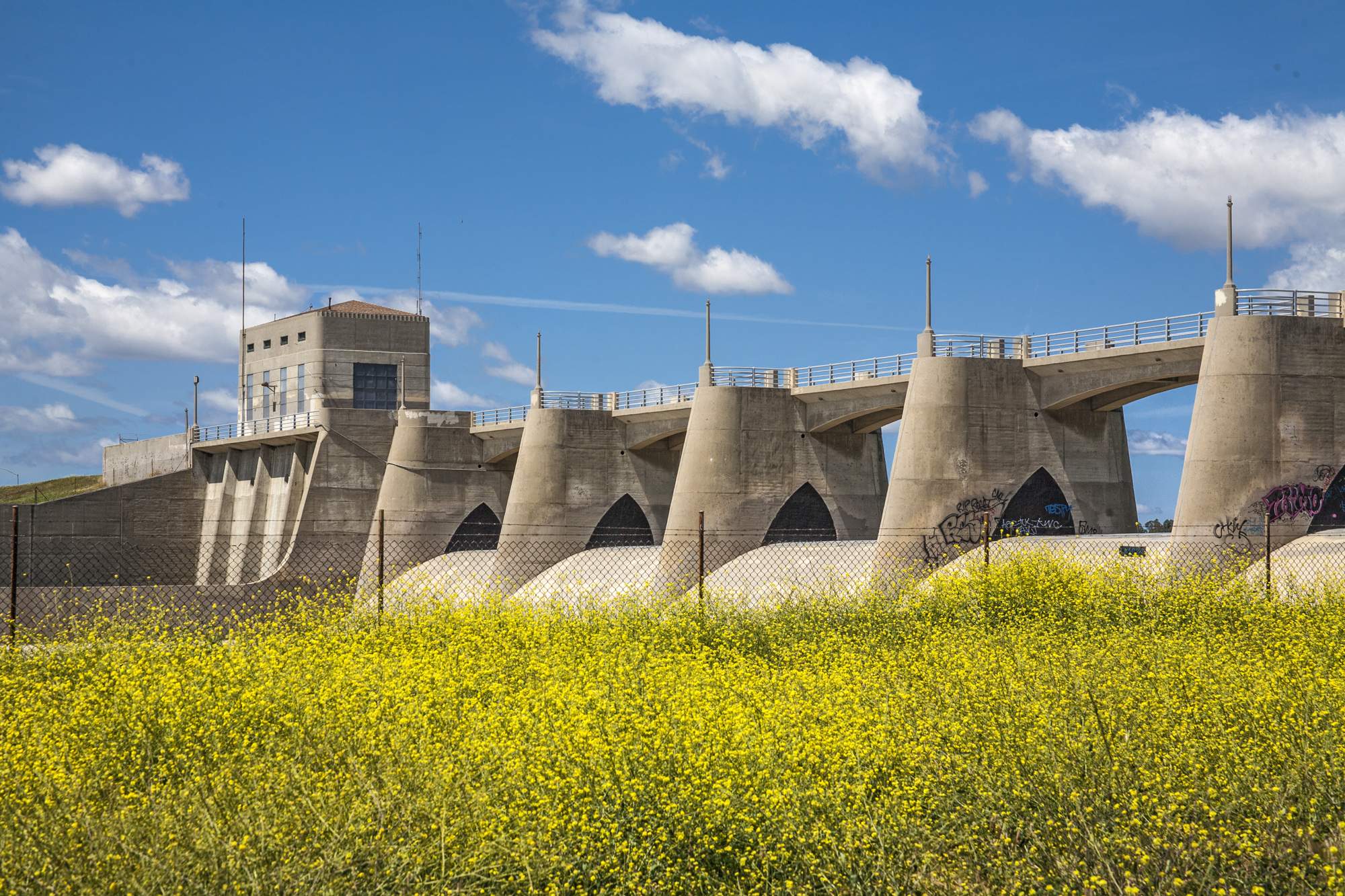 Featured image for post Basic Photography with Peter Bennett