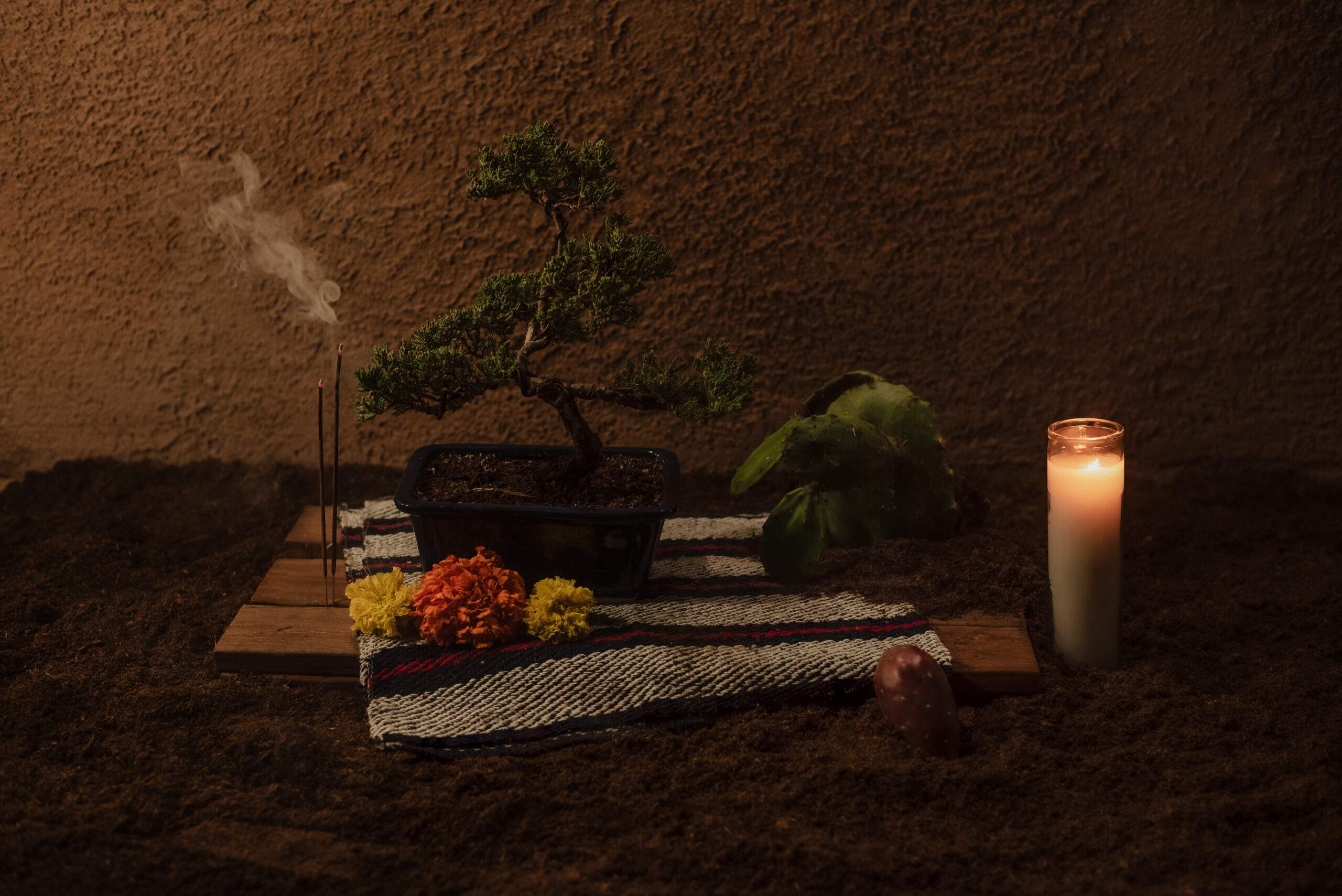 Featured image for slide The Aline Smithson Next Generation Award