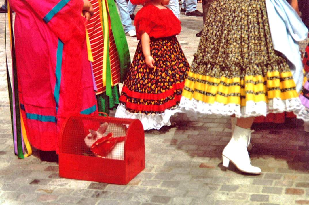 Featured image for event Meet-Up in LA: Blessing of the Animals with Dan Balilty (Hybrid Learning - Two Sessions)