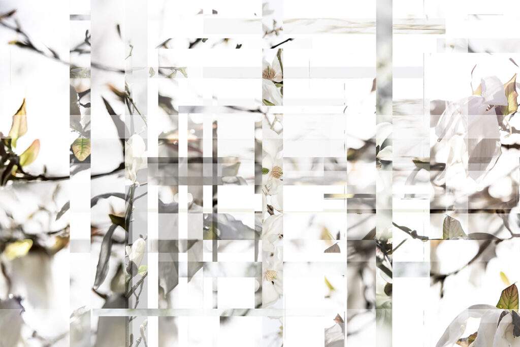 Honorable Mention - Shira Gold, Clever Notions and Hopscotch, 2024, Archival pigment print, 2 Artist Proof ,30" x 45" , Signed, Other sizes available.