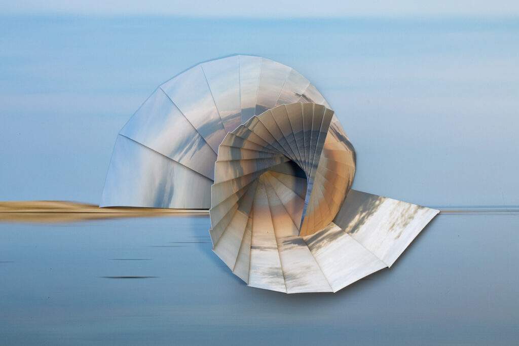 Honorable Mention - Lisa Redburn, Awakening, 2026