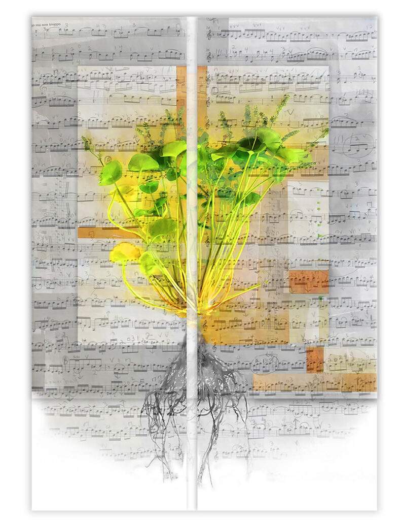 Honorable Mention - Arlene Vidor, Barbara Don's Miner's Lettuce, 2024, Archival pigment print, 2 of 10, 26" x 20" , Signed