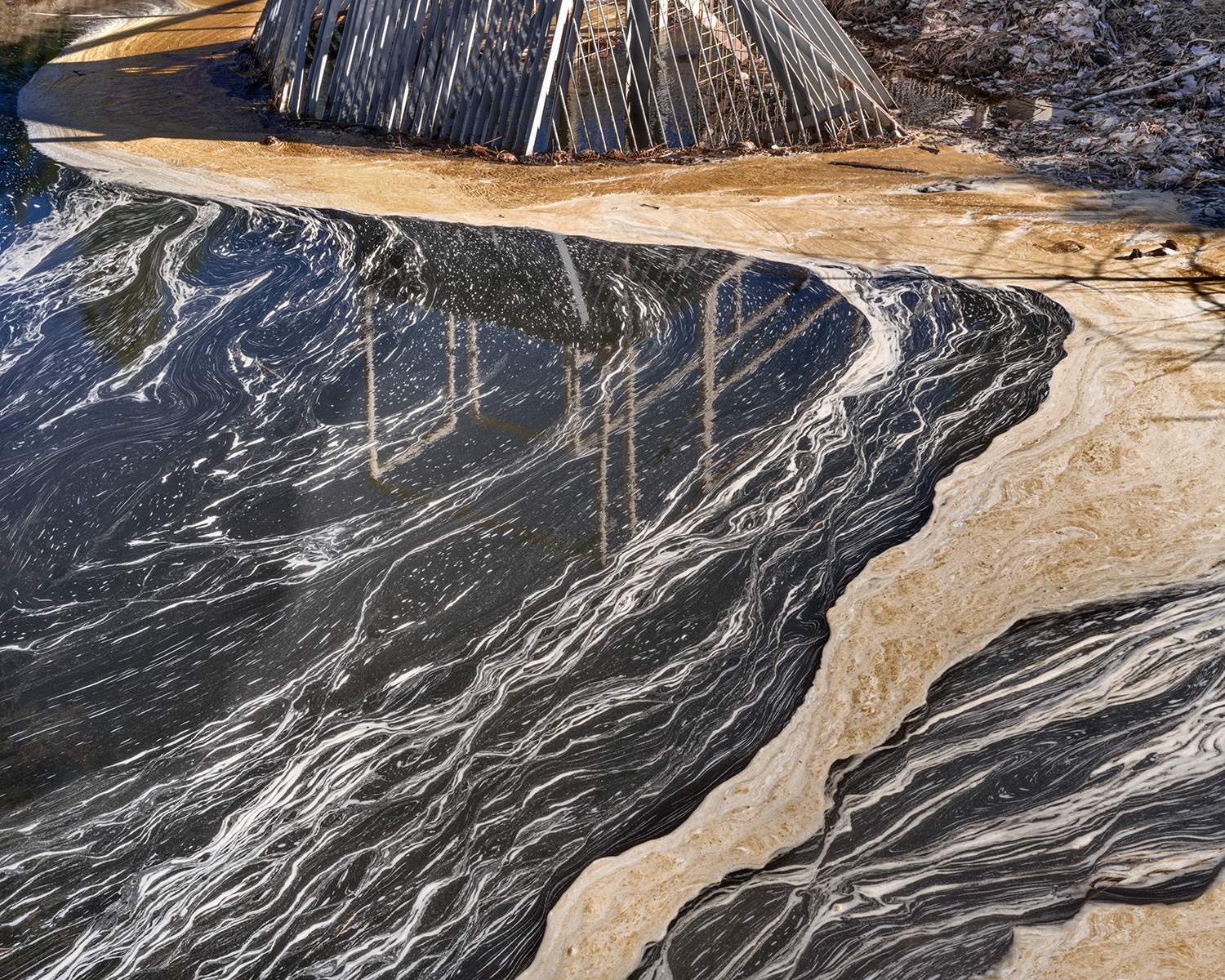 Featured image for event The Contemporary Landscape with Brad Temkin (Online Learning - Five Sessions)