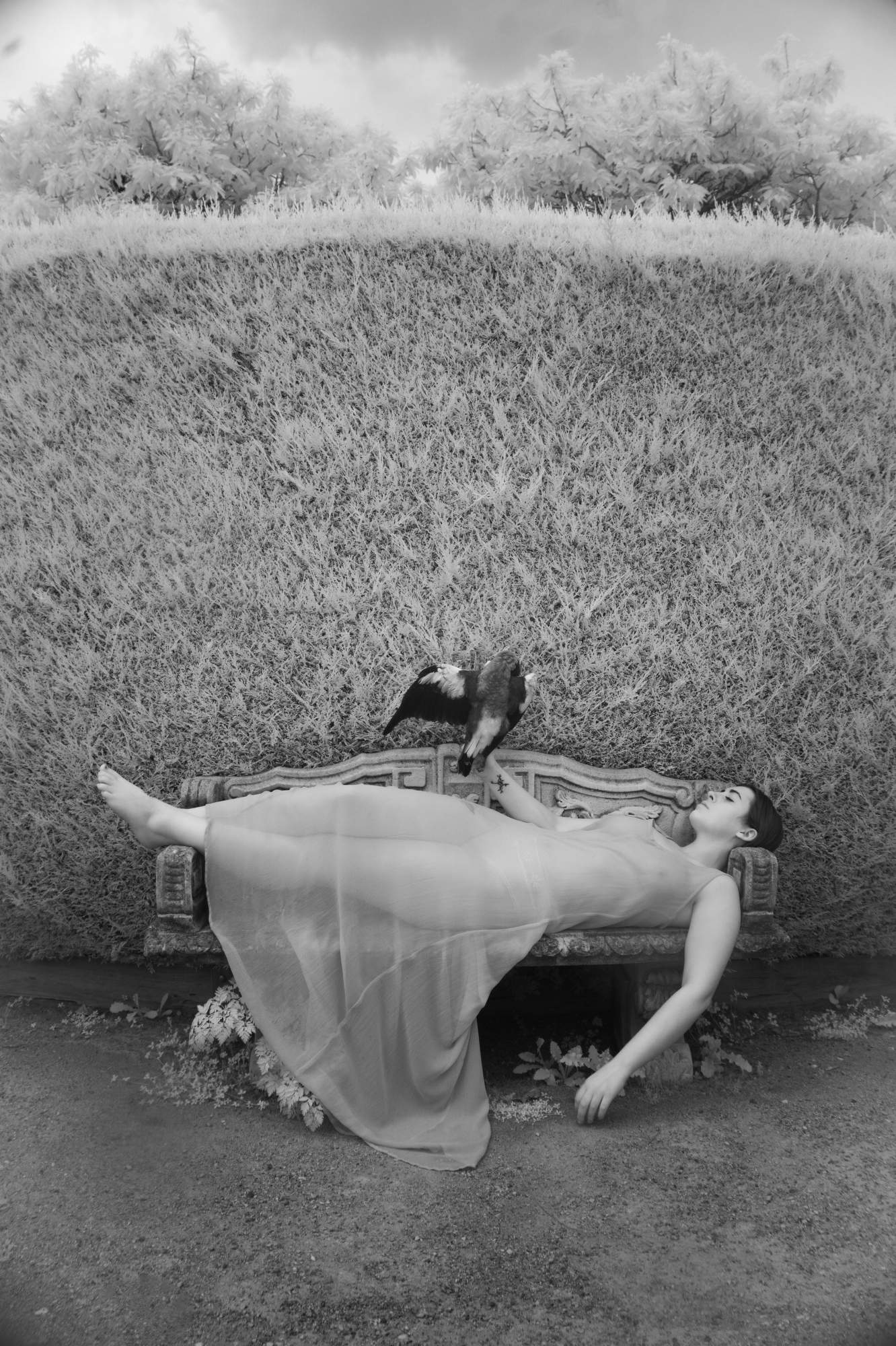 Featured image for event The Sensual Image with Elizabeth Opalenik (In-Person Learning - Three Sessions)