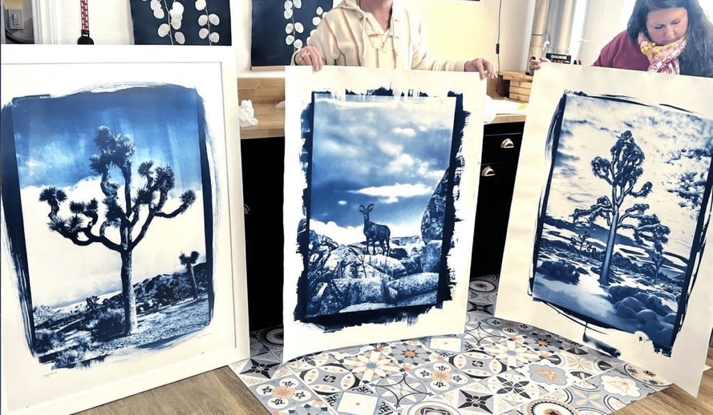 Rose Cefalu_Big Prints