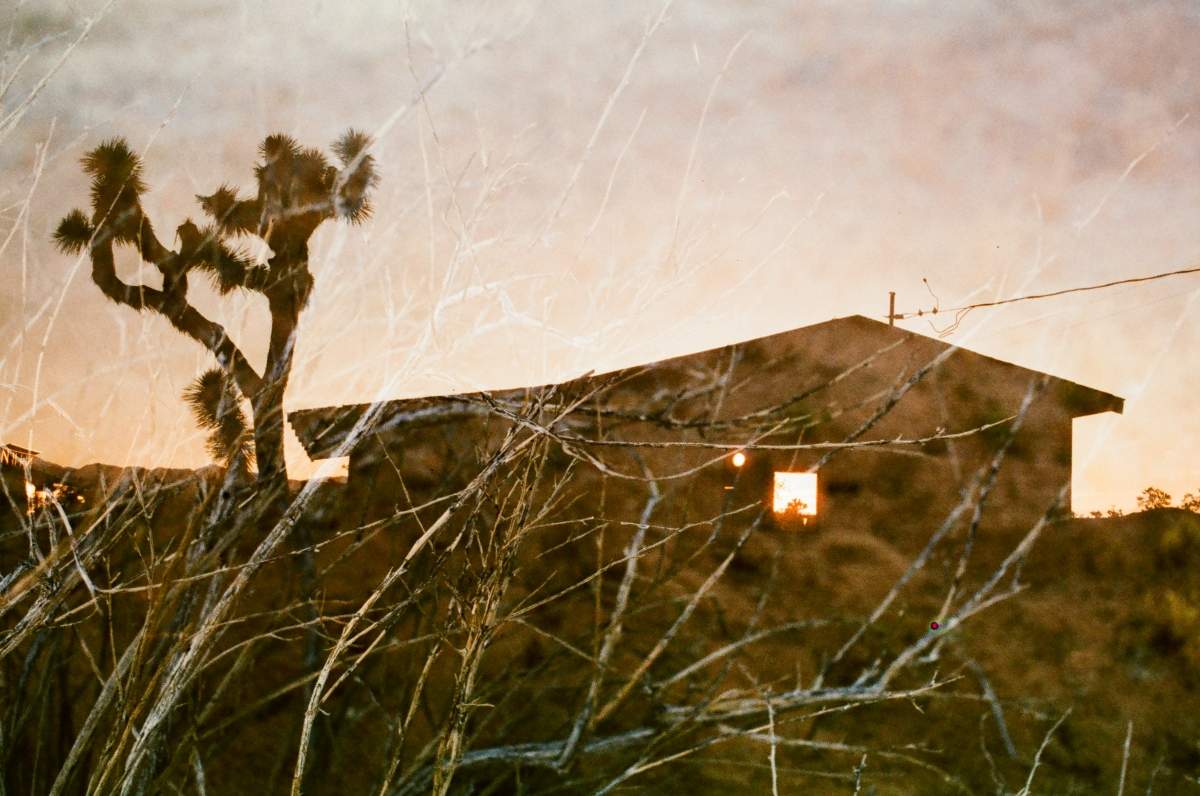 Featured image for event Polaroid Emulsion Lifts with Willow Belle (In-Person Learning - One session)