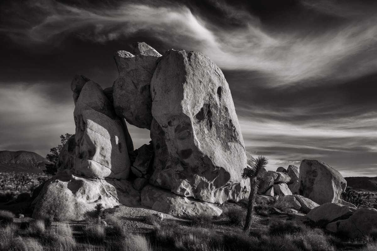 Featured image for event Sunscape: Photo-Immersive Getaways in SoCal 2027, March 17-22