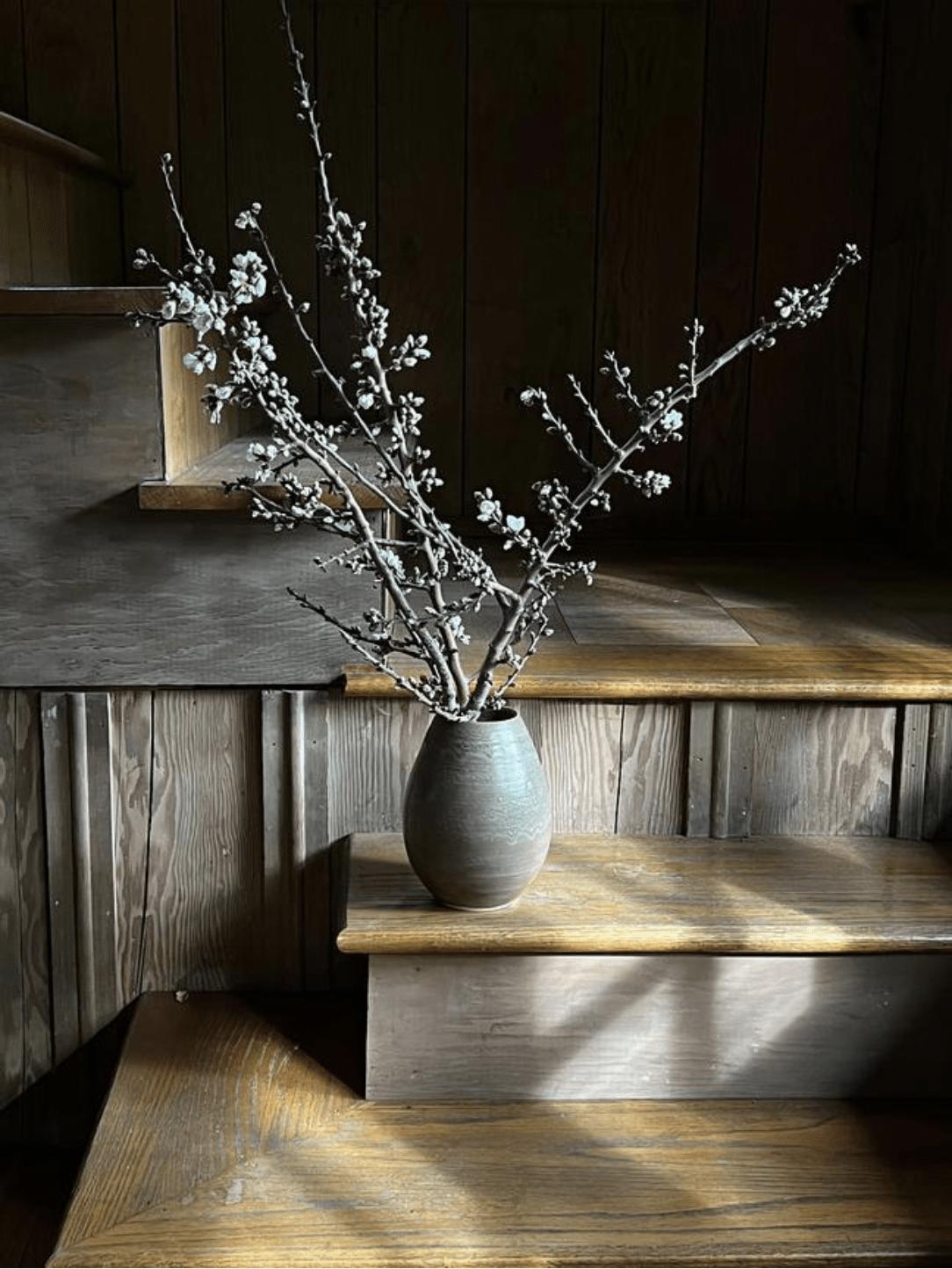 Featured image for event Still Life Lighting Basics with Ann Elliott Cutting (Online Learning - Two sessions)