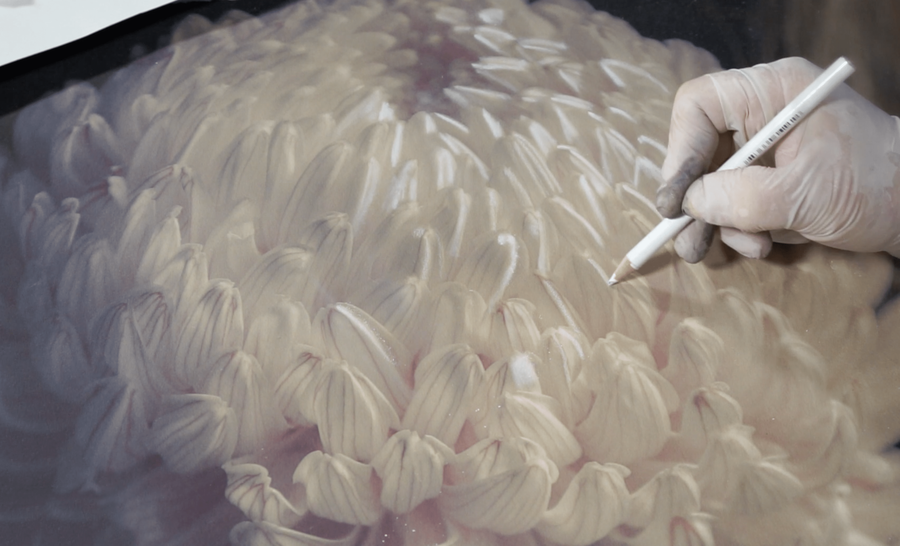 Featured image for post Transforming Your Photographs with Kate Breakey